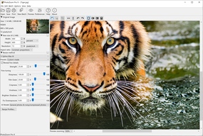 Windows Screenshot